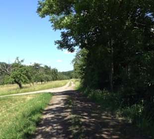 Eduard Lucas Musterobstgarten Mähringen