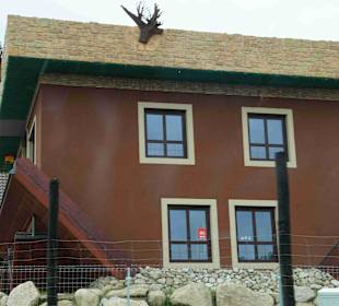 Berg Schneekoppe/Śnieżka