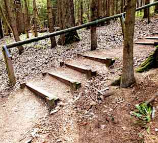 Gut Befestigter Wanderweg