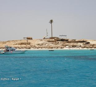 Wyprawa na wyspę Giftun