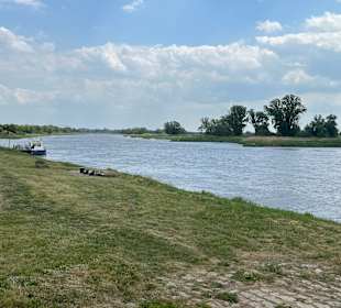 Wandern Lutherstadt Wittenberg