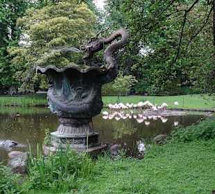 Flamingos in Ihrem See