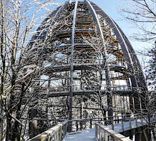 Baumwipfelpfad Bayerischer Wald
