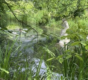 Teich mit Skulptur