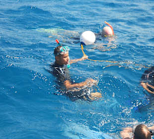 Ausflug ins Wasser