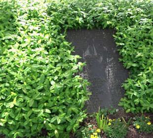 Friedhof Pfalzgrafenweiler