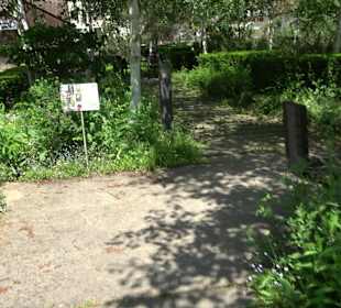 Stadtgarten