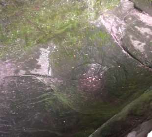 Felsenburg Neurathen