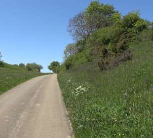 Magolsheimer Buchtalweg
