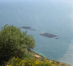 Plaża Myrtos