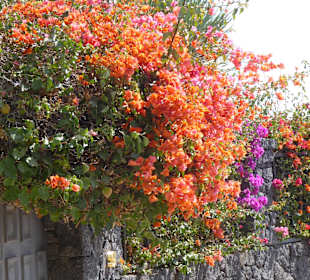 Wandern Playa Blanca