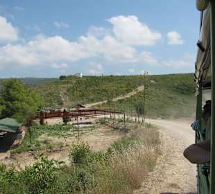 Abwärts ging es schneller 