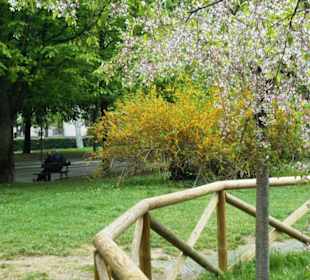 Park Giardini Margherita