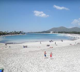 Alcudia
