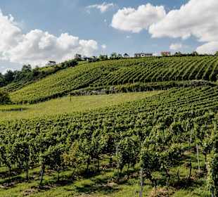 Wandern Eisenberg an der Pinka