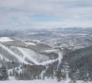 Blick Mc Conkey Chair auf das Resort