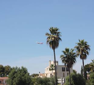 Promenada w Palma de Mallorca