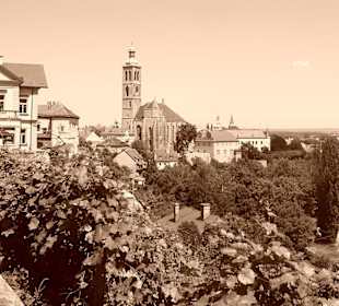 Mesto