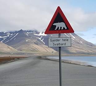 Spitzbergen - DAS Eisbärenschild