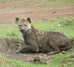 Hat man denn hier niemals seine Ruhe