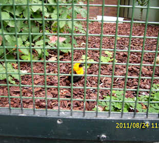 Besuch im Berliner Zoo