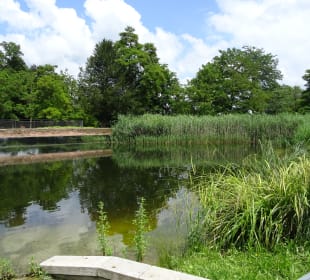 Höhenpark Killesberg
