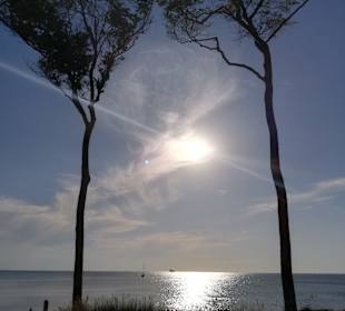 Weststrand Prerow