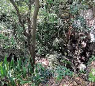 Ausflug zum National Park Los Tres Ojos mit Andy