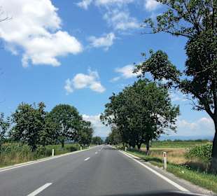 Valea Mureșului / Mureș-Tal 