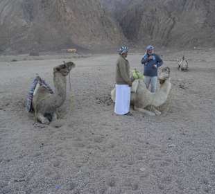 Kamelreiten, wenns unbedingt sein muß