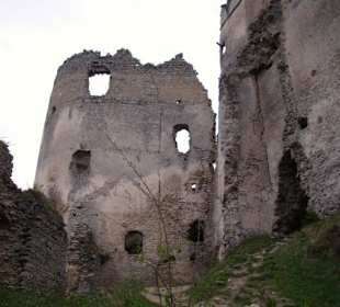 Burgmauer