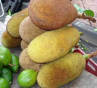 Rundgang über den Marché forain du Front de Mer