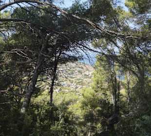 Serra de Tramuntana