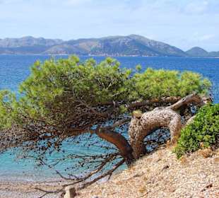 Badebucht auf La Victoria und gegenüber Formentor