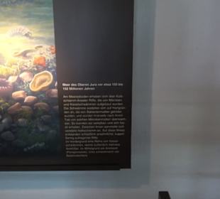 Jura-Museum