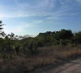 Krüger Nationalpark