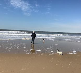 Herrlicher Strand mit vielen Muscheln