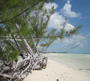 Gold Rock Beach (Gold Coast)