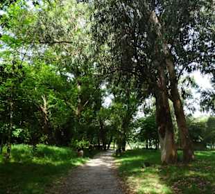 Impressionen aus dem Parque da Cicade