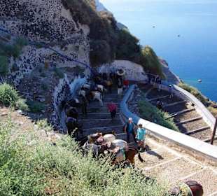 11.Tag Santorin Eselstation