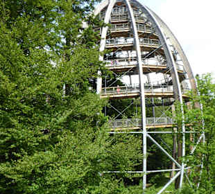 Baumwipfelpfad