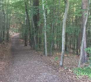 Wandern Loipersdorf bei Fürstenfeld
