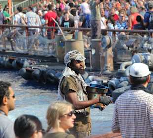 ..hier ging es richtig ab...