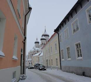 Alex.Newsky Kathedrale