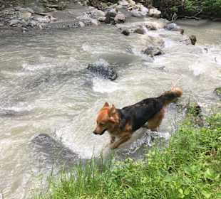 Wandern Ellmau am Wilden Kaiser