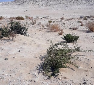 Bir Zekreet
