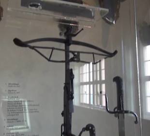 Hasensaal - Schlossmuseum