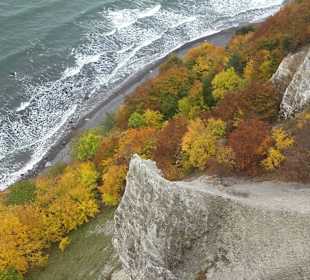 Königsstuhl im Herbst