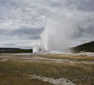 Old Faithful