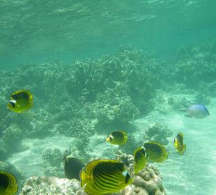 Three Corners Fayrouz Plaza Beach Resort